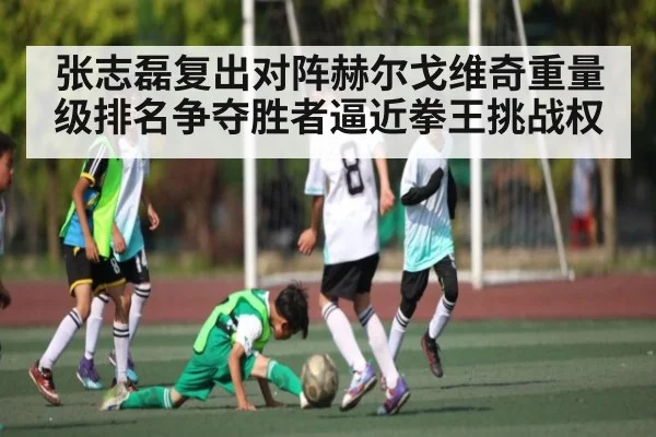 张志磊复出对阵赫尔戈维奇重量级排名争夺胜者逼近拳王挑战权