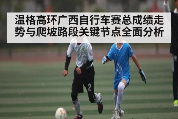 温格高环广西自行车赛总成绩走势与爬坡路段关键节点全面分析